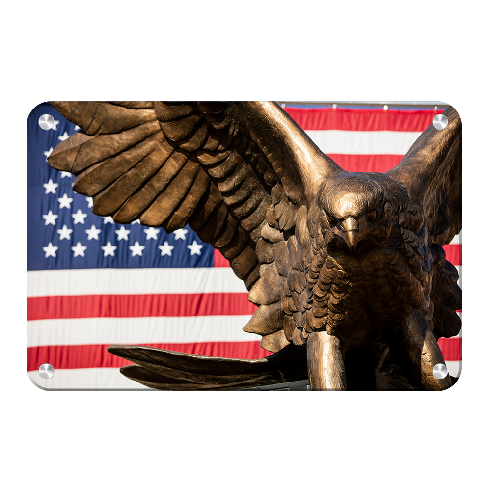 Louisiana Monroe Warhawks - Warhawk Stars and Stripes - College Wall Art #Canvas