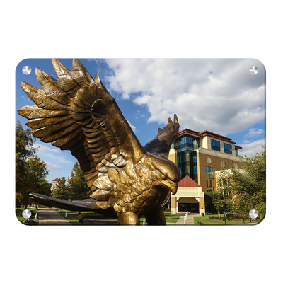 Louisiana Monroe Warhawks - Warhawk Statue - College Wall Art #Metal Art