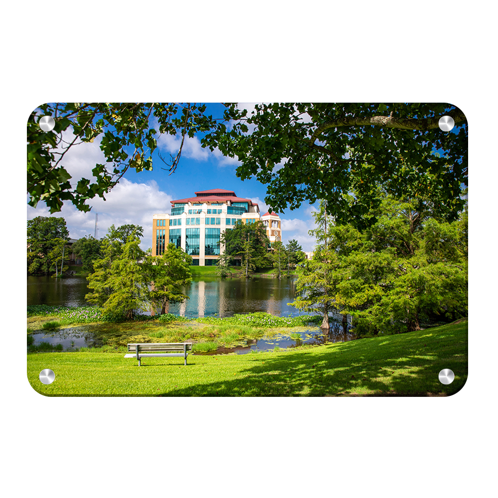 Louisiana Monroe Warhawks - Success Center - College Wall Art #Canvas