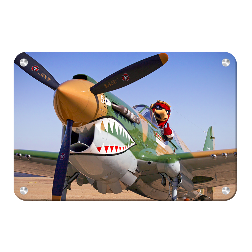 Louisiana Monroe Warhawks - Curtiss P 40 - College Wall Art #Canvas