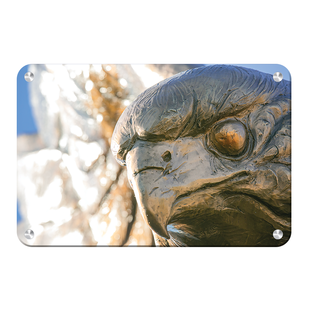 Louisiana Monroe Warhawks - Warhawk - College Wall Art #Canvas