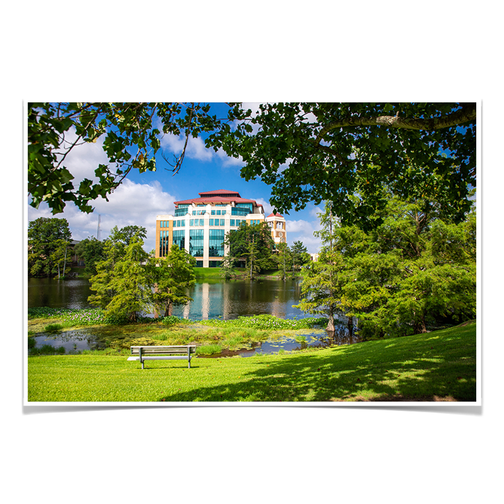 Louisiana Monroe Warhawks - Success Center - College Wall Art #Canvas