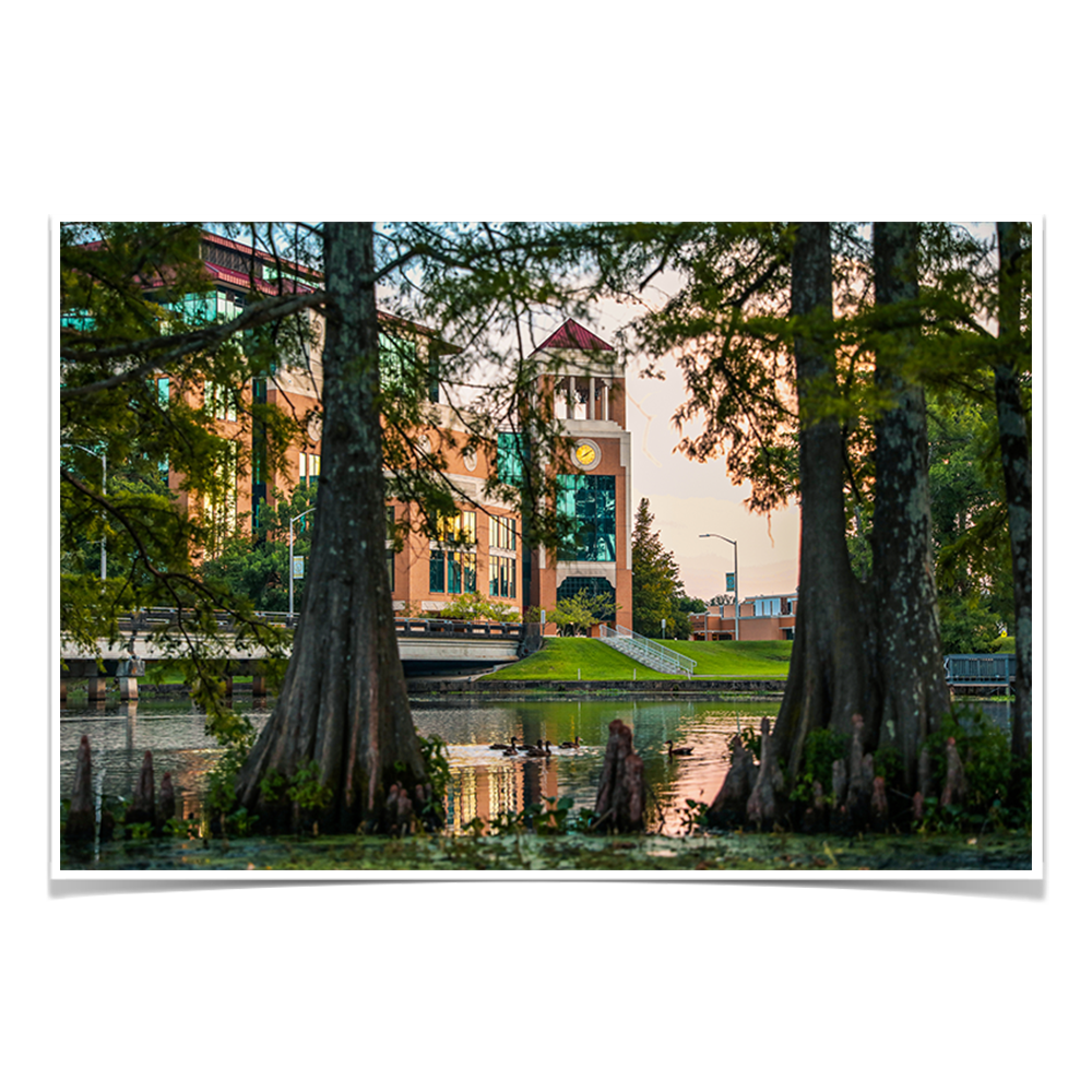 Louisiana Monroe Warhawks - Through the Bayou - College Wall Art #Canvas