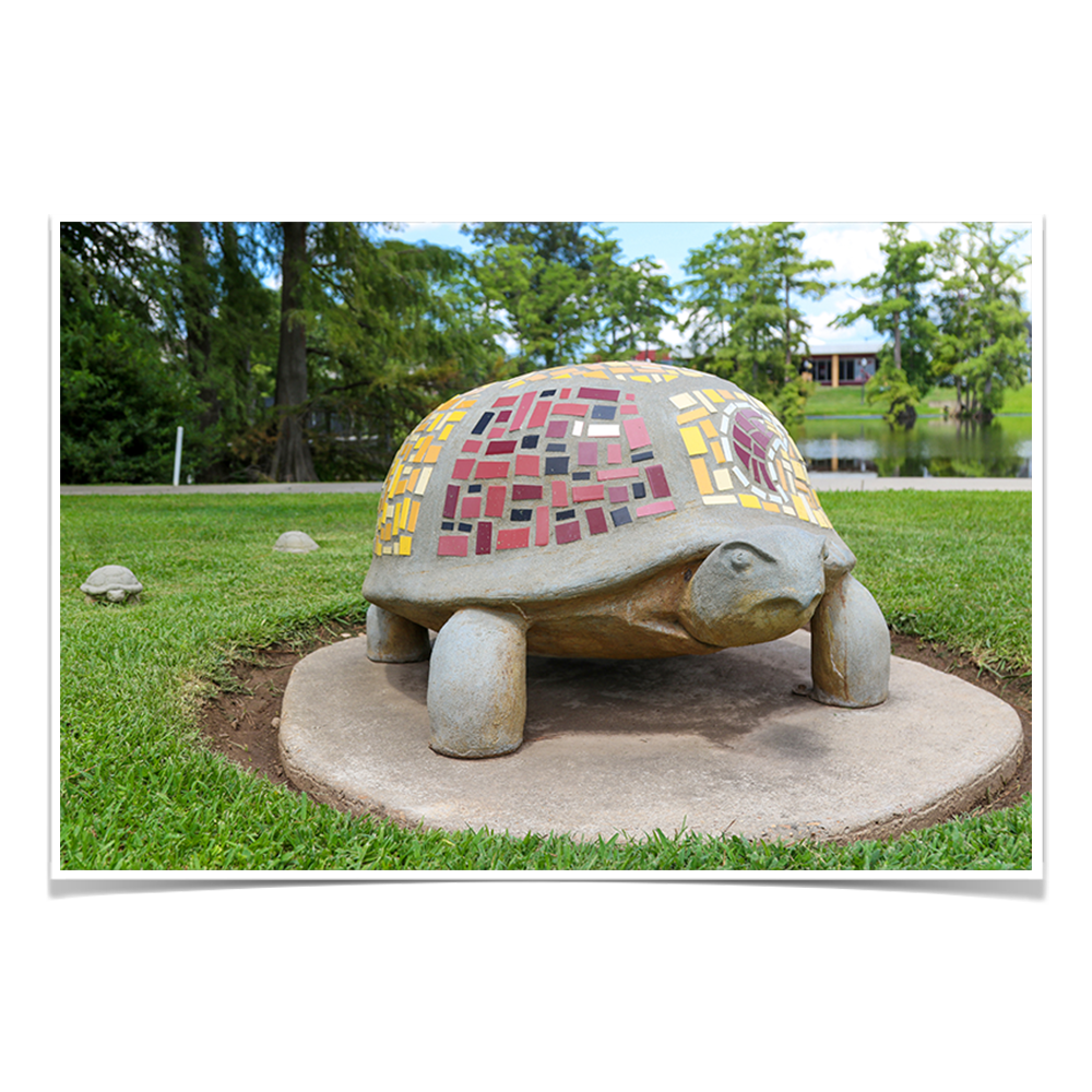 Louisiana Monroe Warhawks - Bayou Park - College Wall Art #Canvas