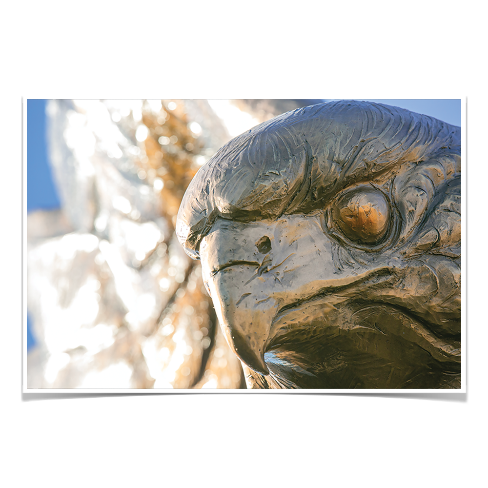 Louisiana Monroe Warhawks - Warhawk - College Wall Art #Canvas