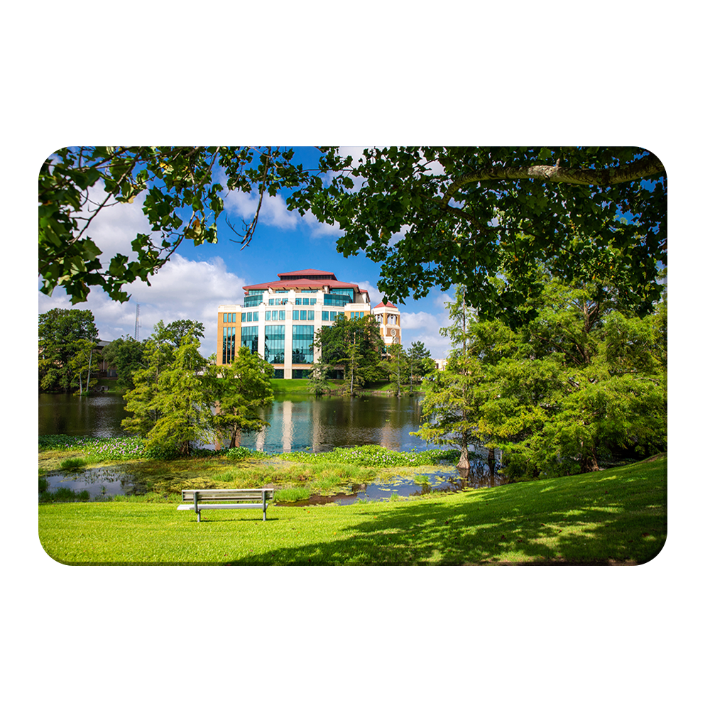 Louisiana Monroe Warhawks - Success Center - College Wall Art #Canvas