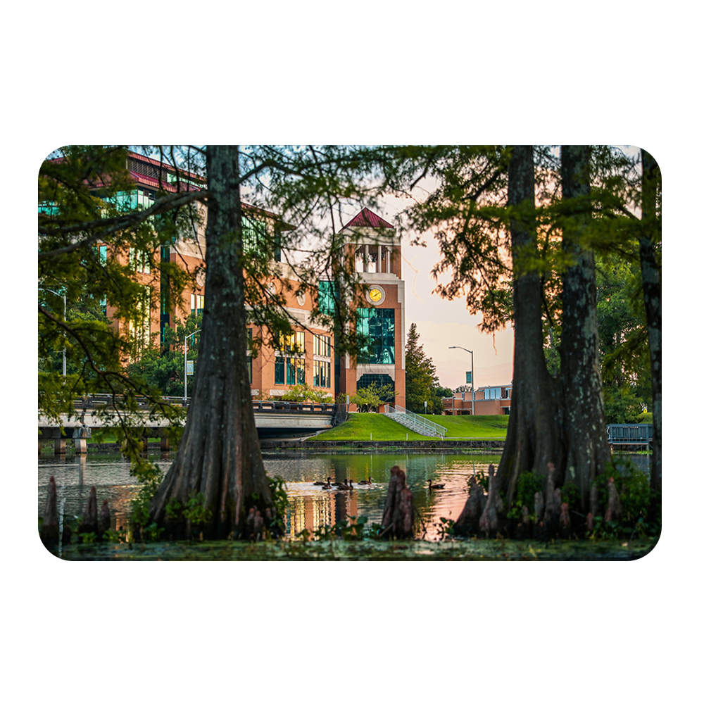 Louisiana Monroe Warhawks - Through the Bayou - College Wall Art #Canvas