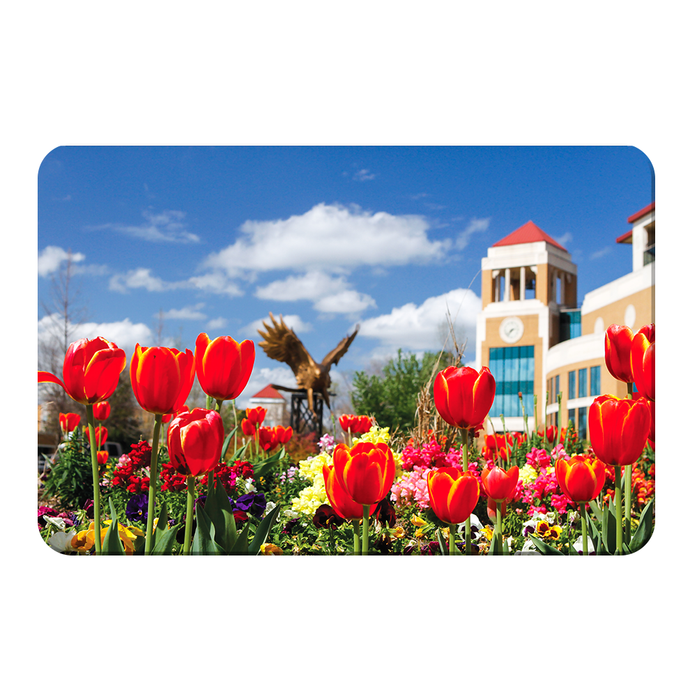 Louisiana Monroe Warhawks - ULM Tulips - College Wall Art #Canvas