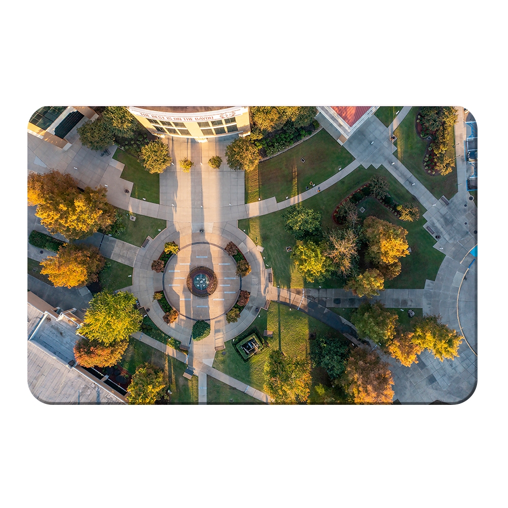 Louisiana Monroe Warhawks - The Best is on the Bayou - College wall Art #Canvas