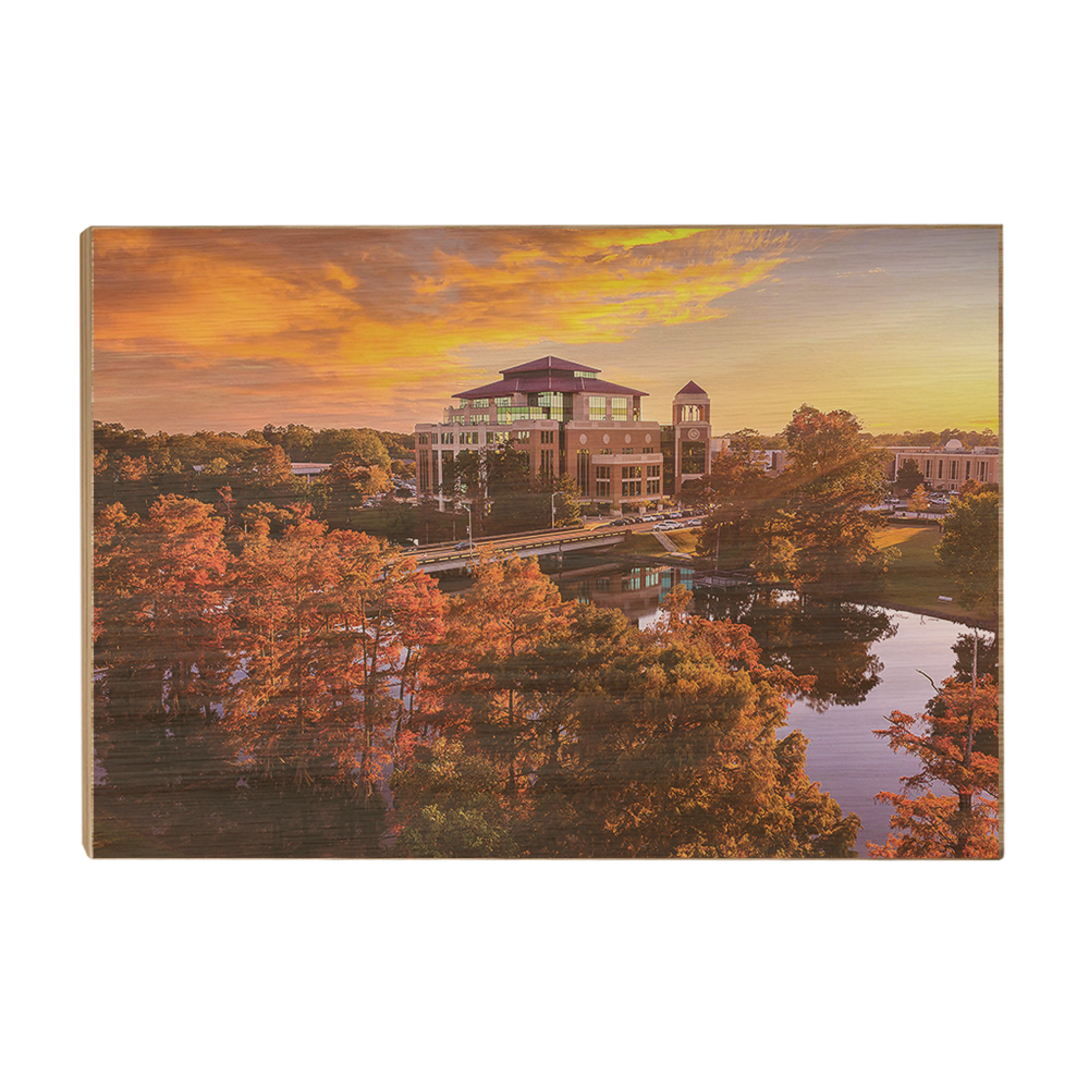 Louisiana Monroe Warhawks - Fall Bayou from Above - College Wall Art #Canvas