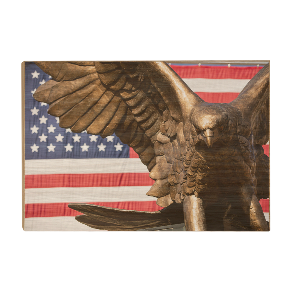 Louisiana Monroe Warhawks - Warhawk Stars and Stripes - College Wall Art #Canvas