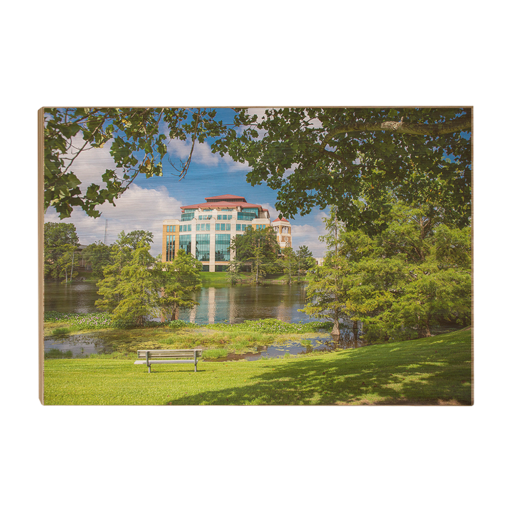 Louisiana Monroe Warhawks - Success Center - College Wall Art #Canvas
