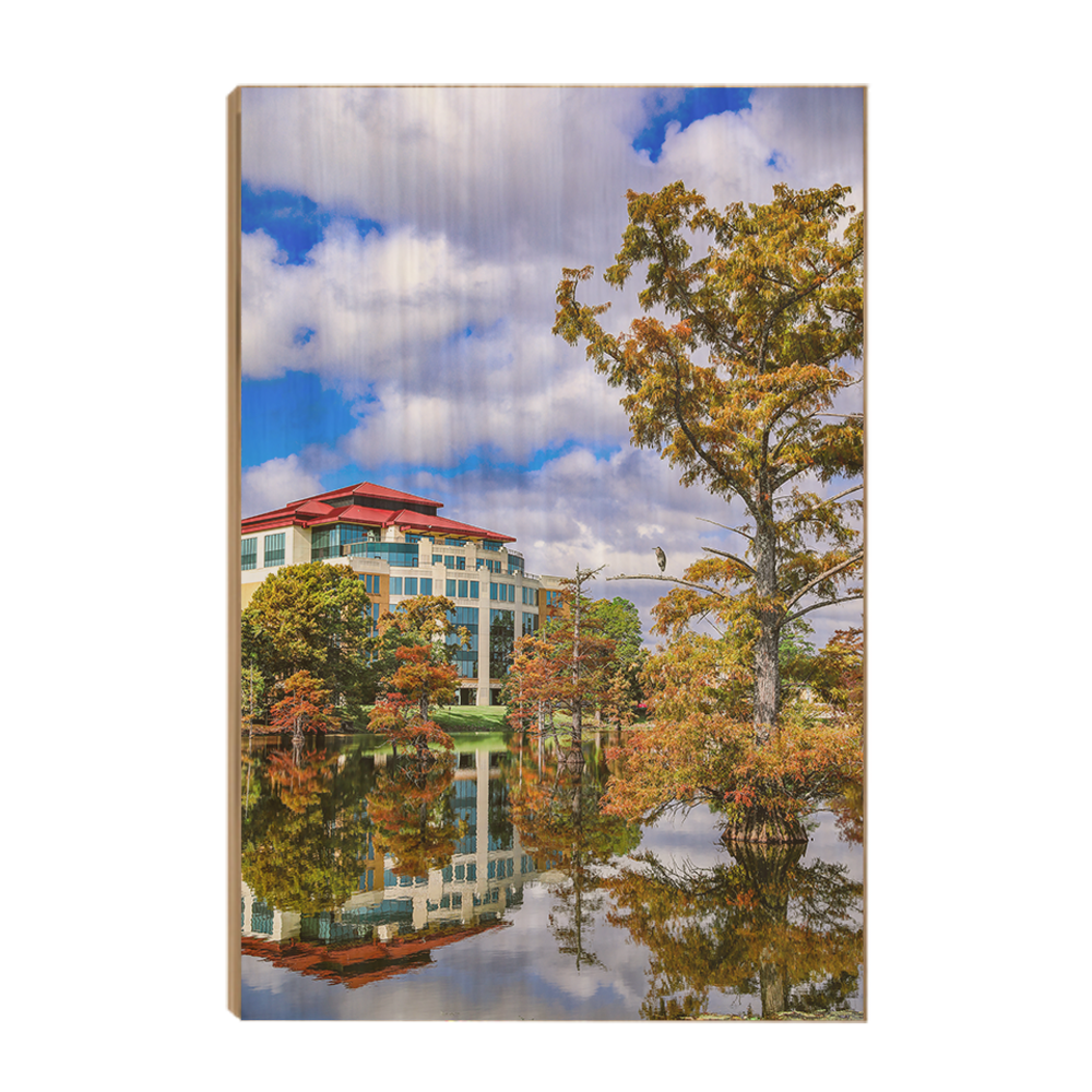 Louisiana Monroe Warhawks - Campus in the Clouds - College Wall Art #Canvas