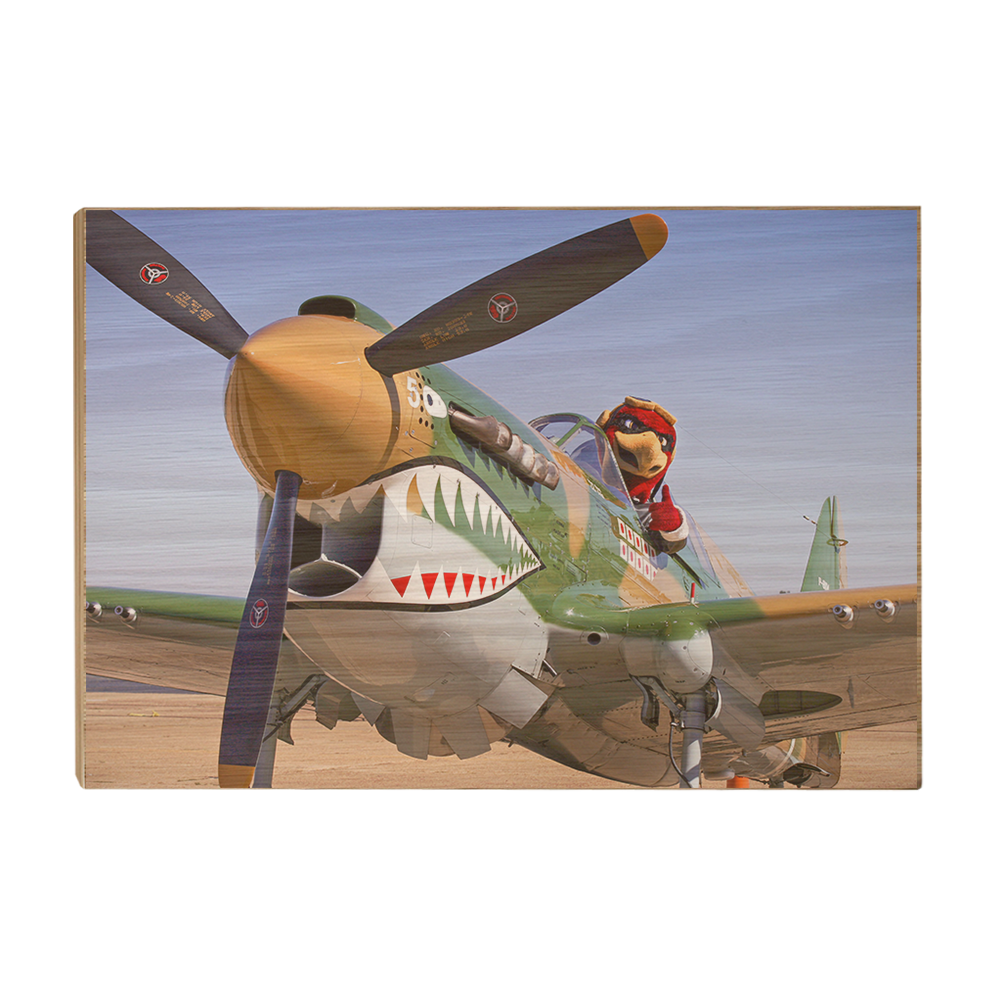 Louisiana Monroe Warhawks - Curtiss P 40 - College Wall Art #Canvas