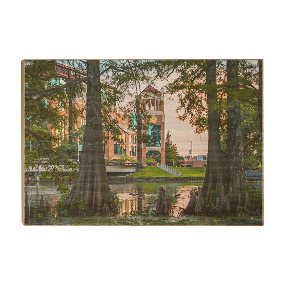 Louisiana Monroe Warhawks - Through the Bayou - College Wall Art #Canvas