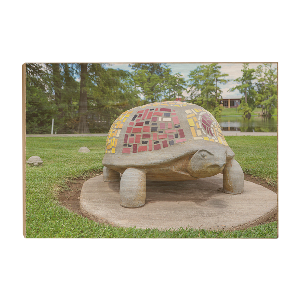 Louisiana Monroe Warhawks - Bayou Park - College Wall Art #Canvas