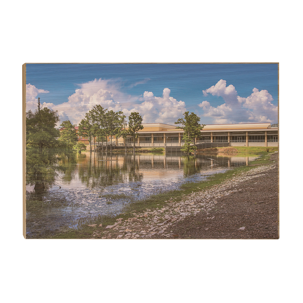 Louisiana Monroe Warhawks - Bayou Pointe - College Wall Art #Canvas