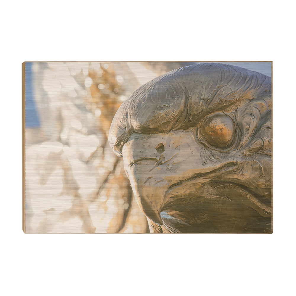 Louisiana Monroe Warhawks - Warhawk - College Wall Art #Canvas