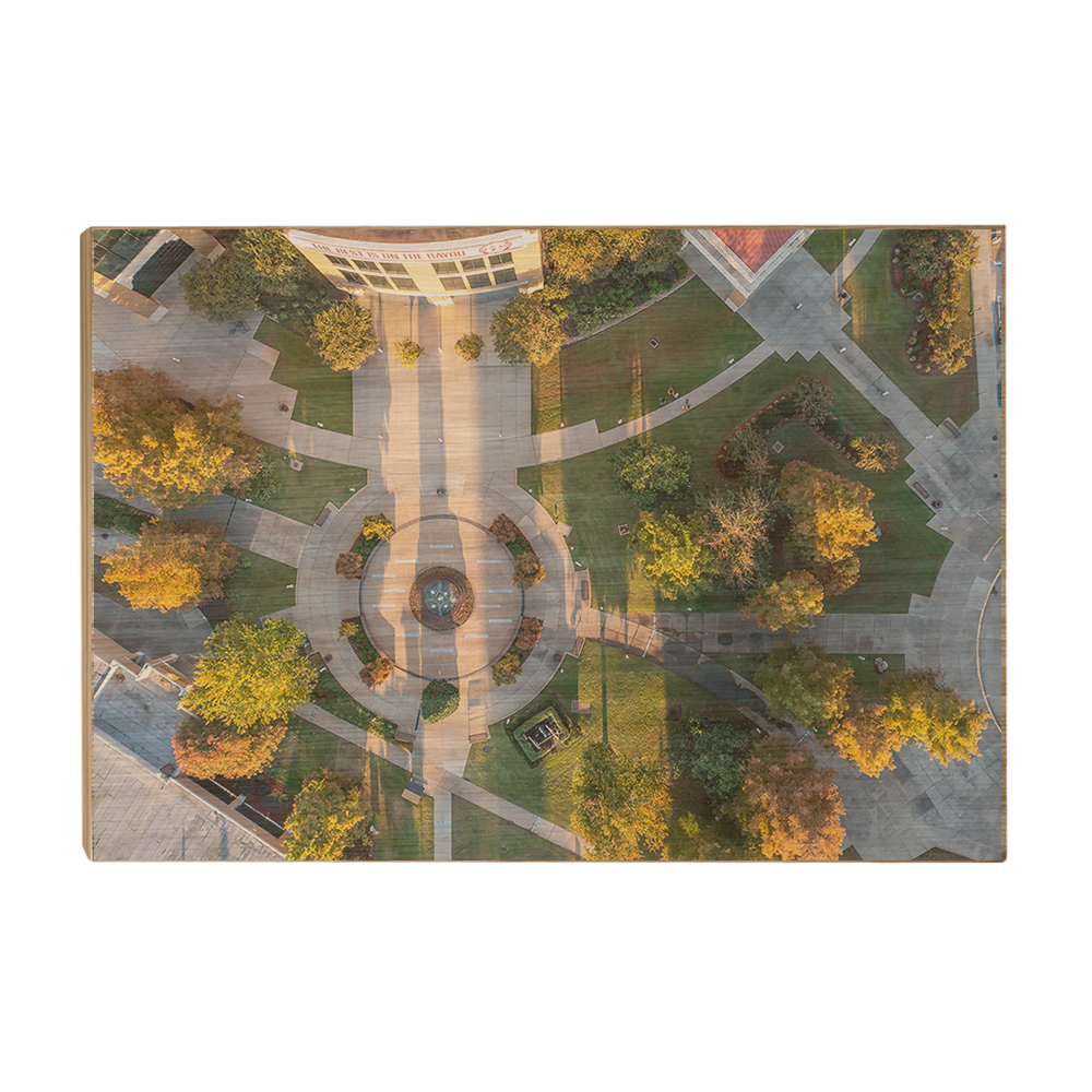 Louisiana Monroe Warhawks - The Best is on the Bayou - College wall Art #Canvas