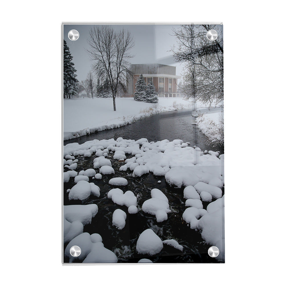 North Dakota Fighting Hawks - Snow Day - College Wall Art #Canvas