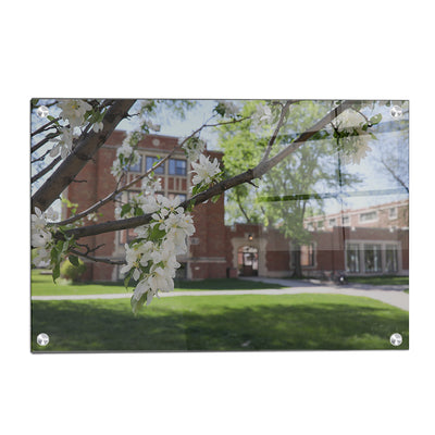 North Dakota Fighting Hawks - Cherry Blossoms - College Wall Art #Acrylic