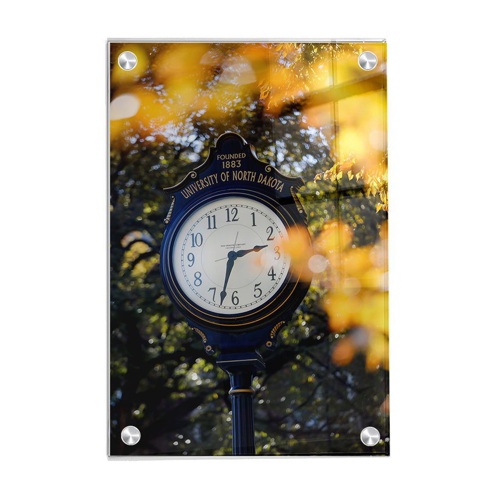 North Dakota Fighting Hawks - University of North Dakota Fall - College Wall Art #Canvas