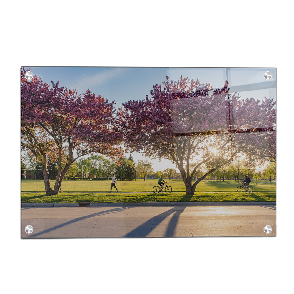 North Dakota Fighting Hawks - Blossoms - College Wall Art #Canvas