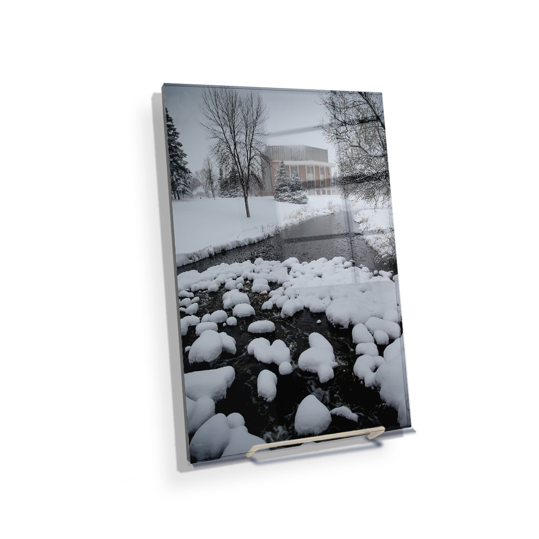 North Dakota Fighting Hawks - Snow Day - College Wall Art #Canvas