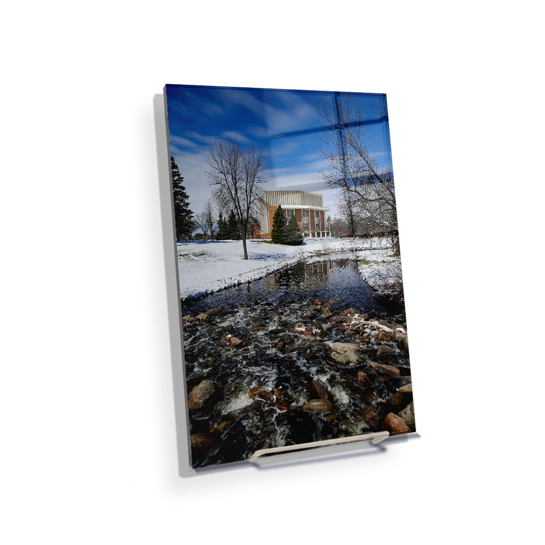 North Dakota Fighting Hawks - Snow Storm - College Wall Art #Canvas