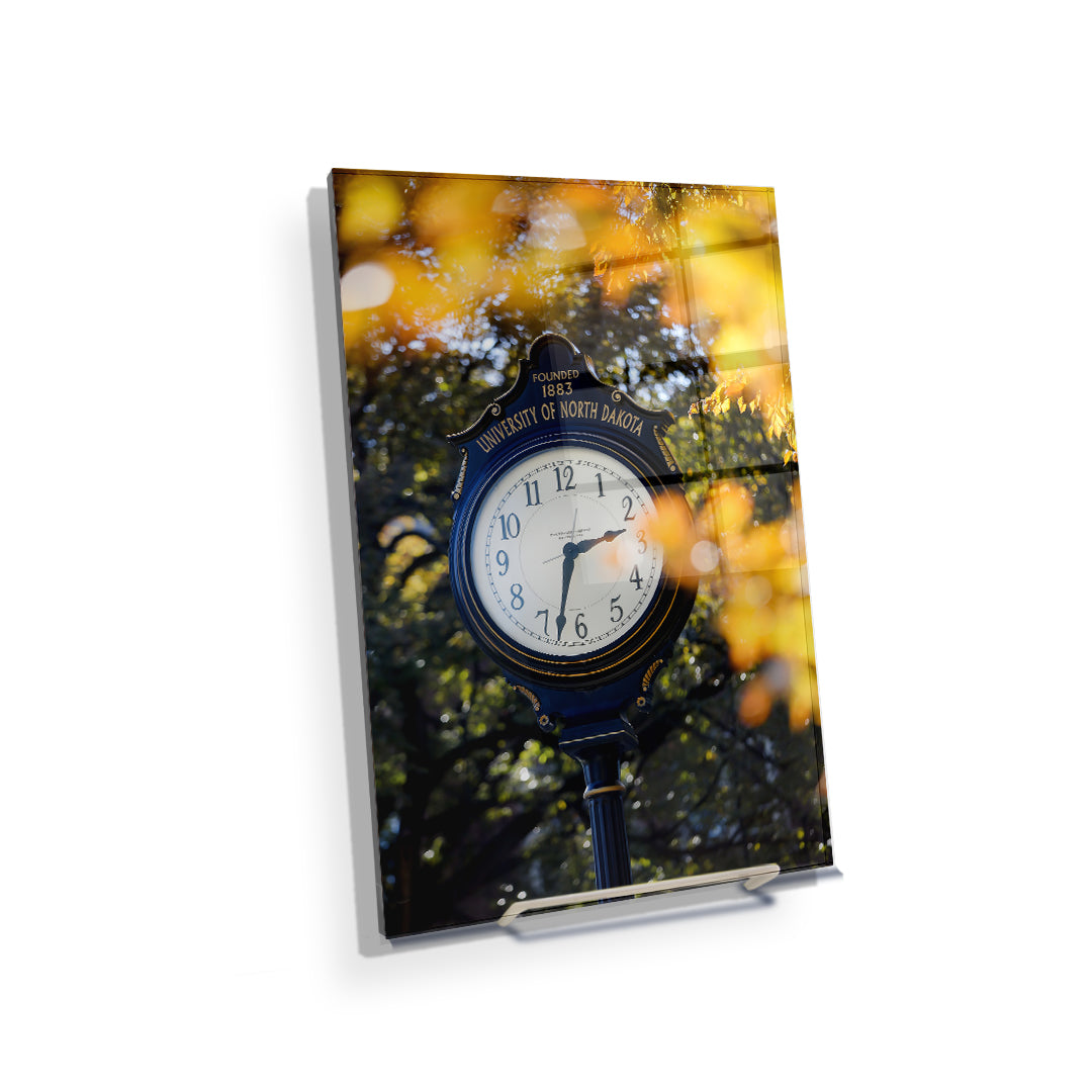 North Dakota Fighting Hawks - University of North Dakota Fall - College Wall Art #Canvas