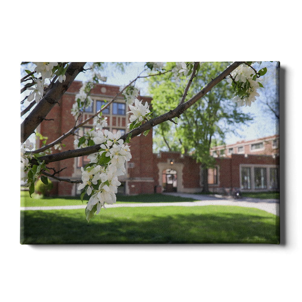 North Dakota Fighting Hawks - Cherry Blossoms - College Wall Art #Canvas