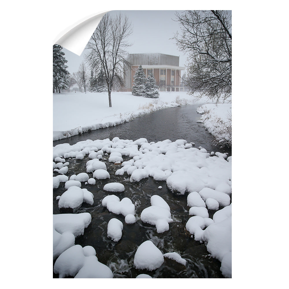 North Dakota Fighting Hawks - Snow Day - College Wall Art #Canvas