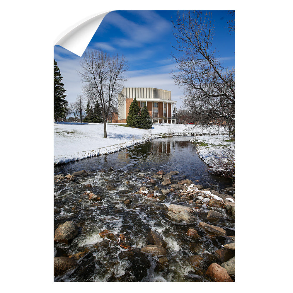 North Dakota Fighting Hawks - Snow Storm - College Wall Art #Canvas