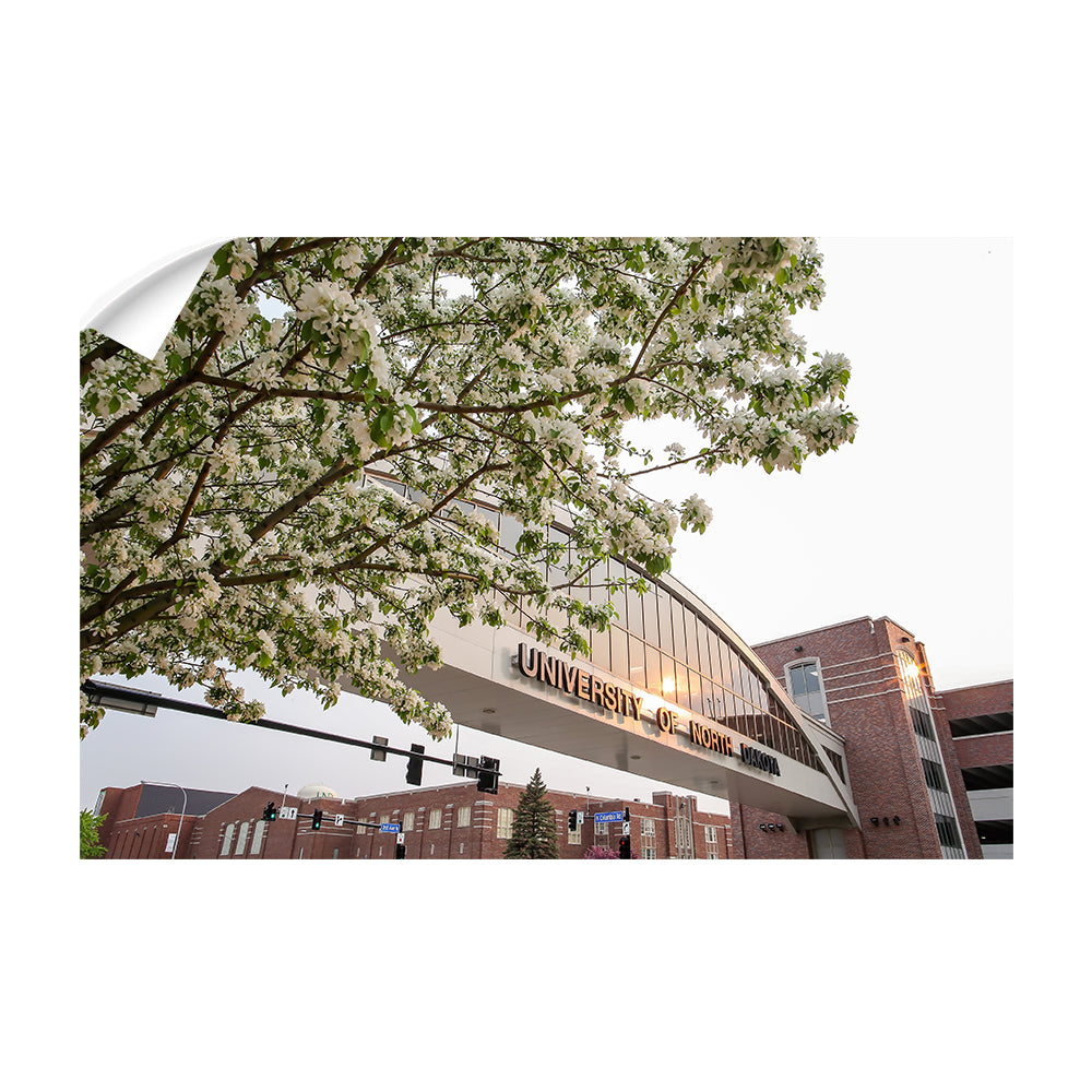 North Dakota Fighting Hawks - University of North Dakota Cherry Blossoms - College Wall Art #Canvas