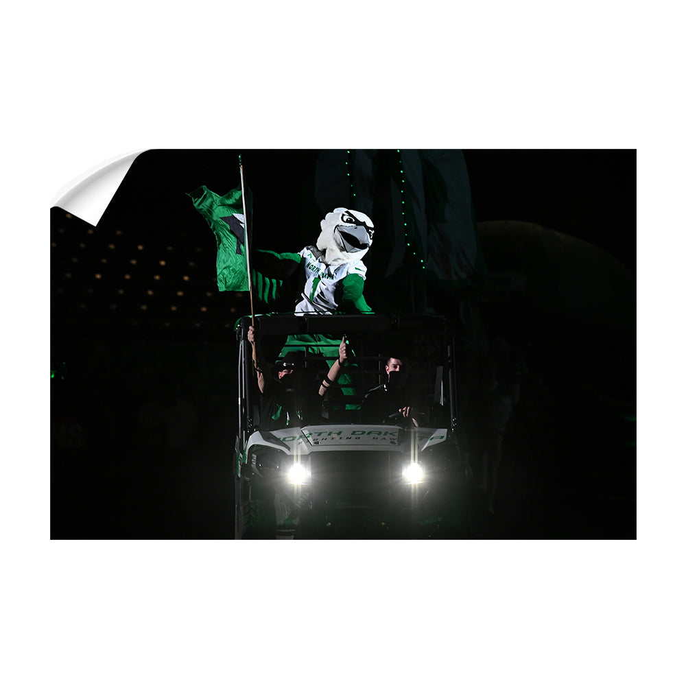 North Dakota Fighting Hawks - The Fighting Hawk - College Wall Art #Canvas
