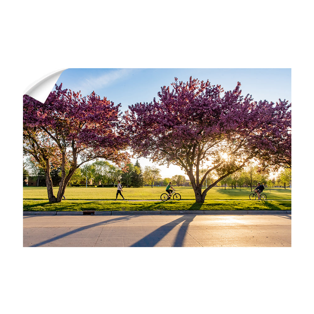 North Dakota Fighting Hawks - Blossoms - College Wall Art #Canvas