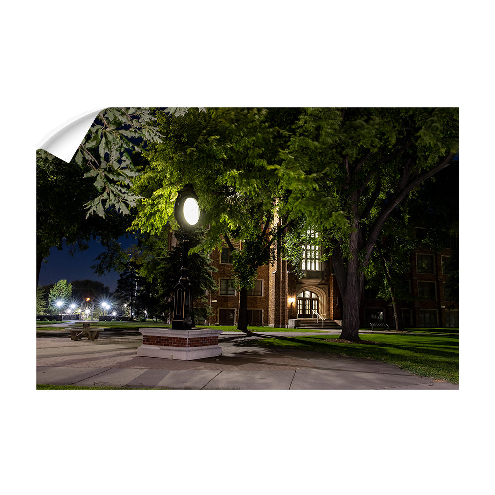 North Dakota Fighting Hawks - Night Fall - College Wall Art #Canvas