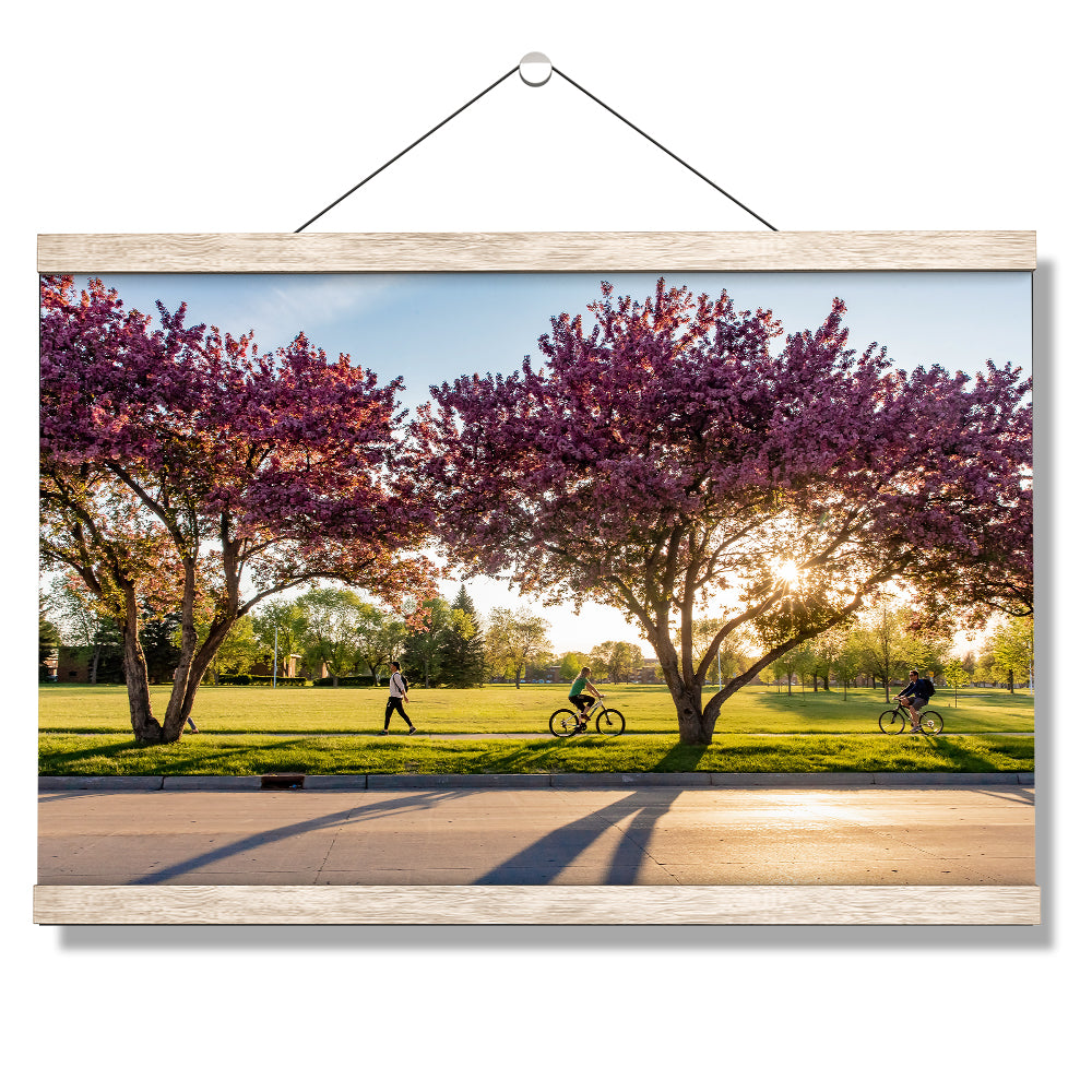 North Dakota Fighting Hawks - Blossoms - College Wall Art #Canvas