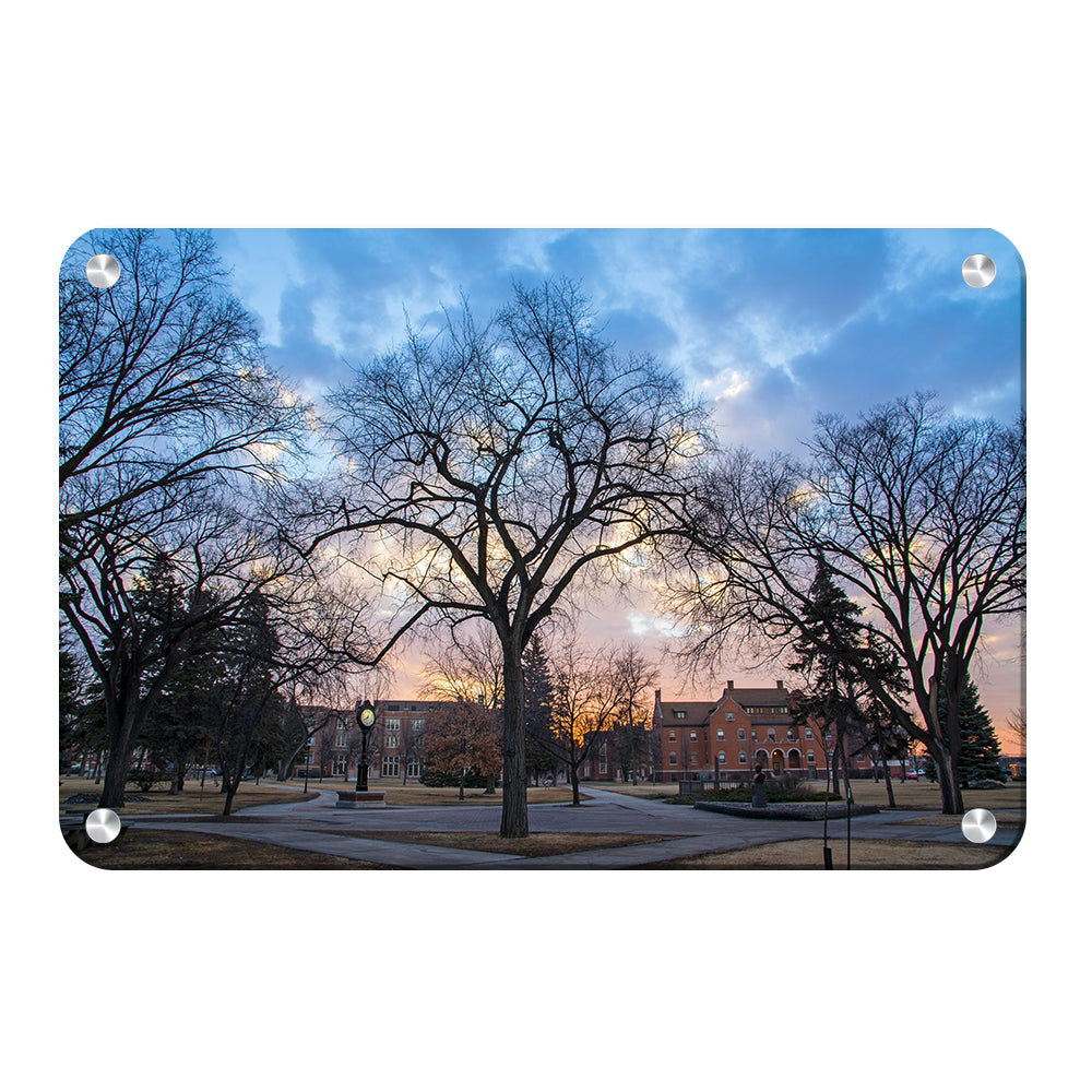 North Dakota Fighting Hawks - Early Spring Campus - College Wall Art #Canvas