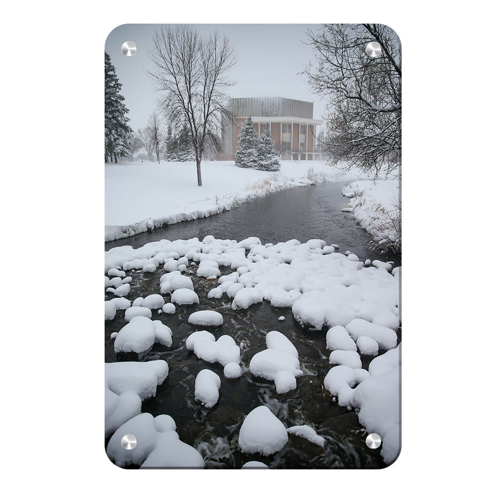 North Dakota Fighting Hawks - Snow Day - College Wall Art #Canvas