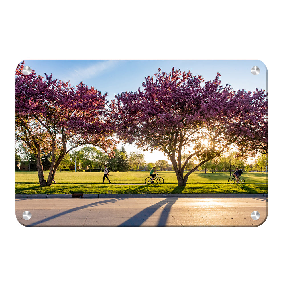 North Dakota Fighting Hawks - Blossoms - College Wall Art #Canvas