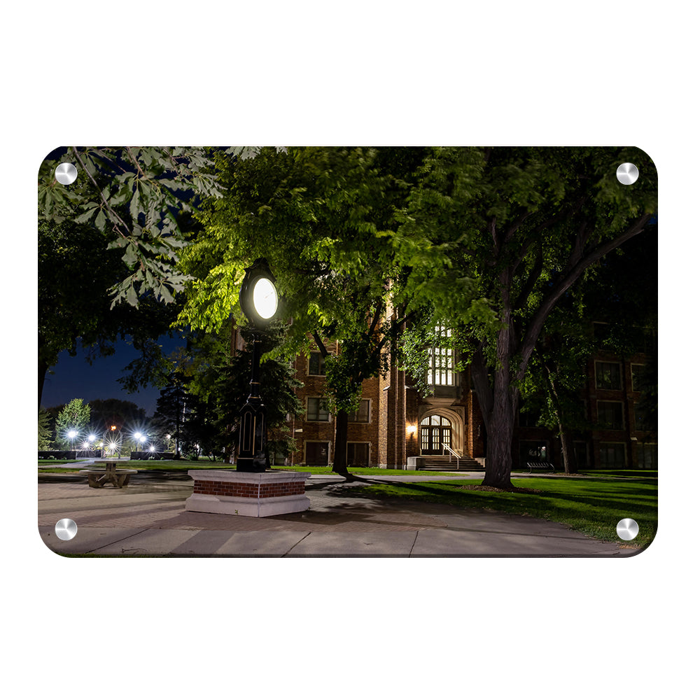 North Dakota Fighting Hawks - Night Fall - College Wall Art #Canvas