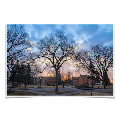 North Dakota Fighting Hawks - Early Spring Campus - College Wall Art #Poster