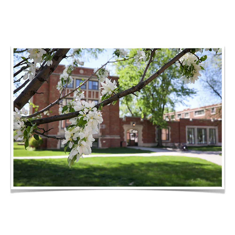 North Dakota Fighting Hawks - Cherry Blossoms - College Wall Art #Canvas