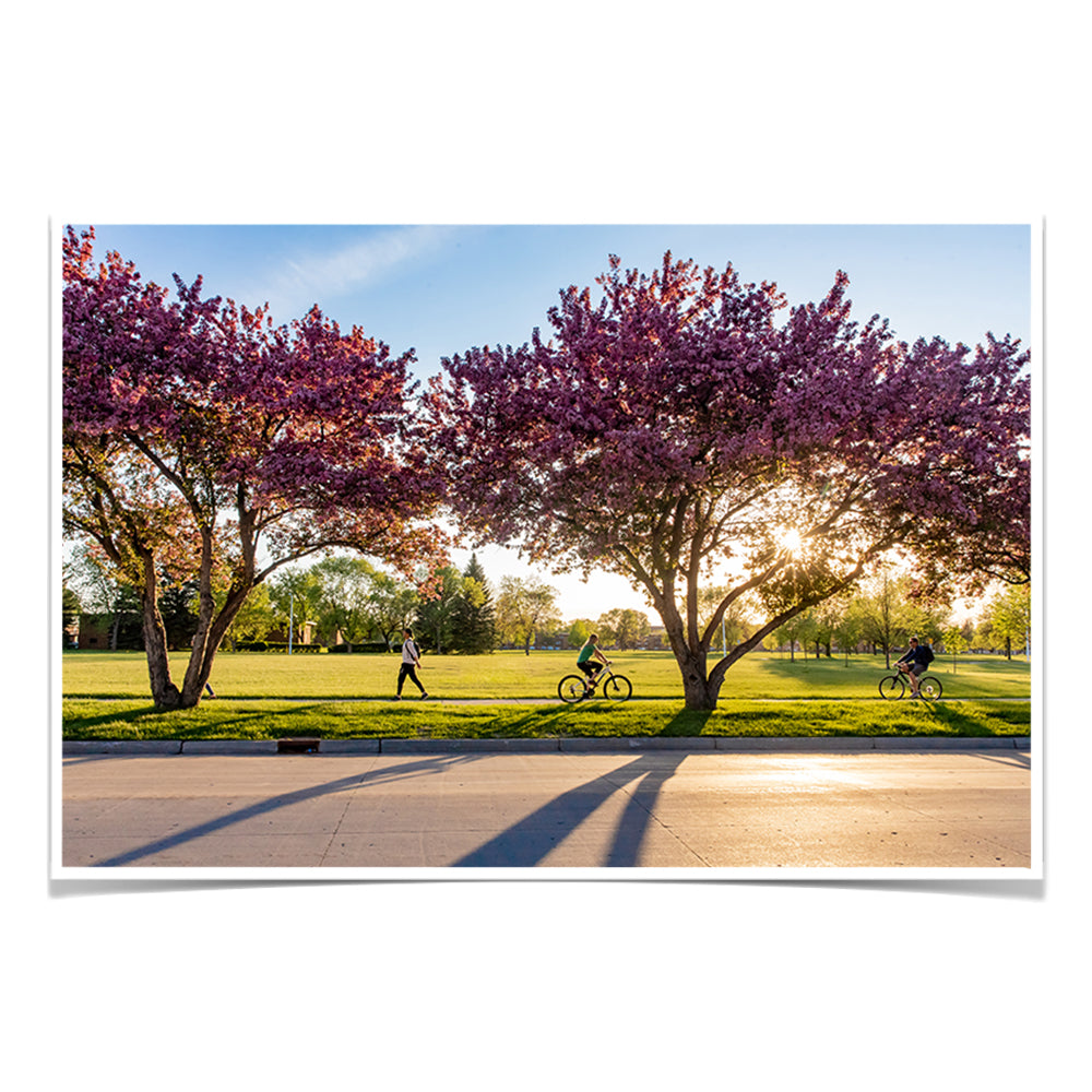 North Dakota Fighting Hawks - Blossoms - College Wall Art #Canvas