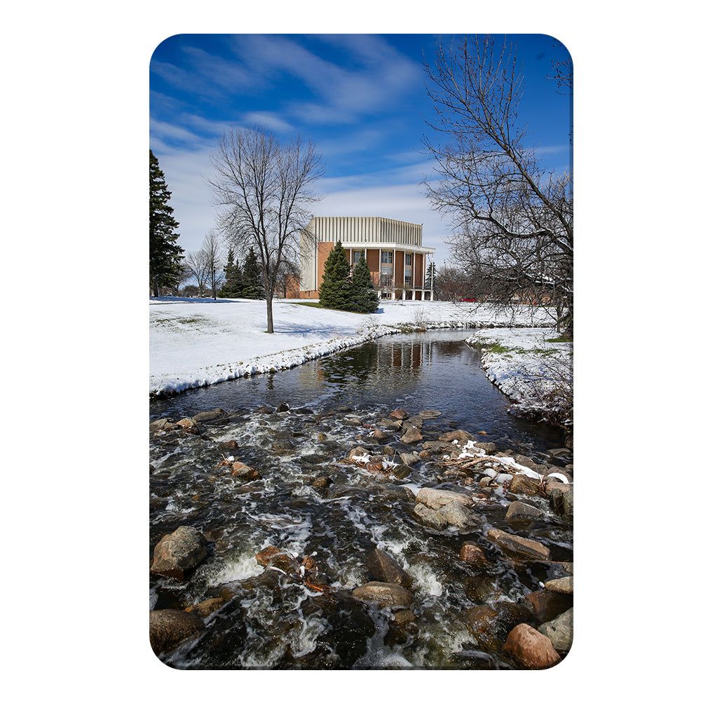 North Dakota Fighting Hawks - Snow Storm - College Wall Art #Canvas