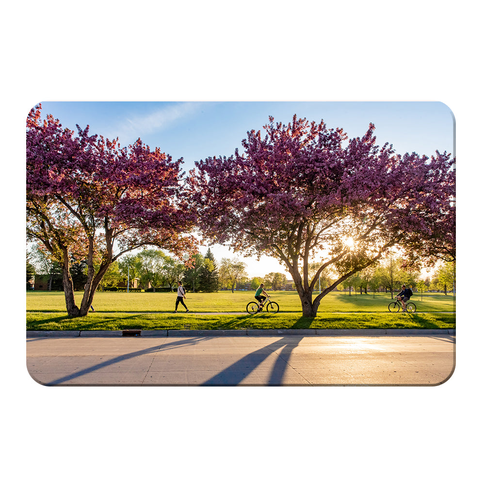 North Dakota Fighting Hawks - Blossoms - College Wall Art #Canvas