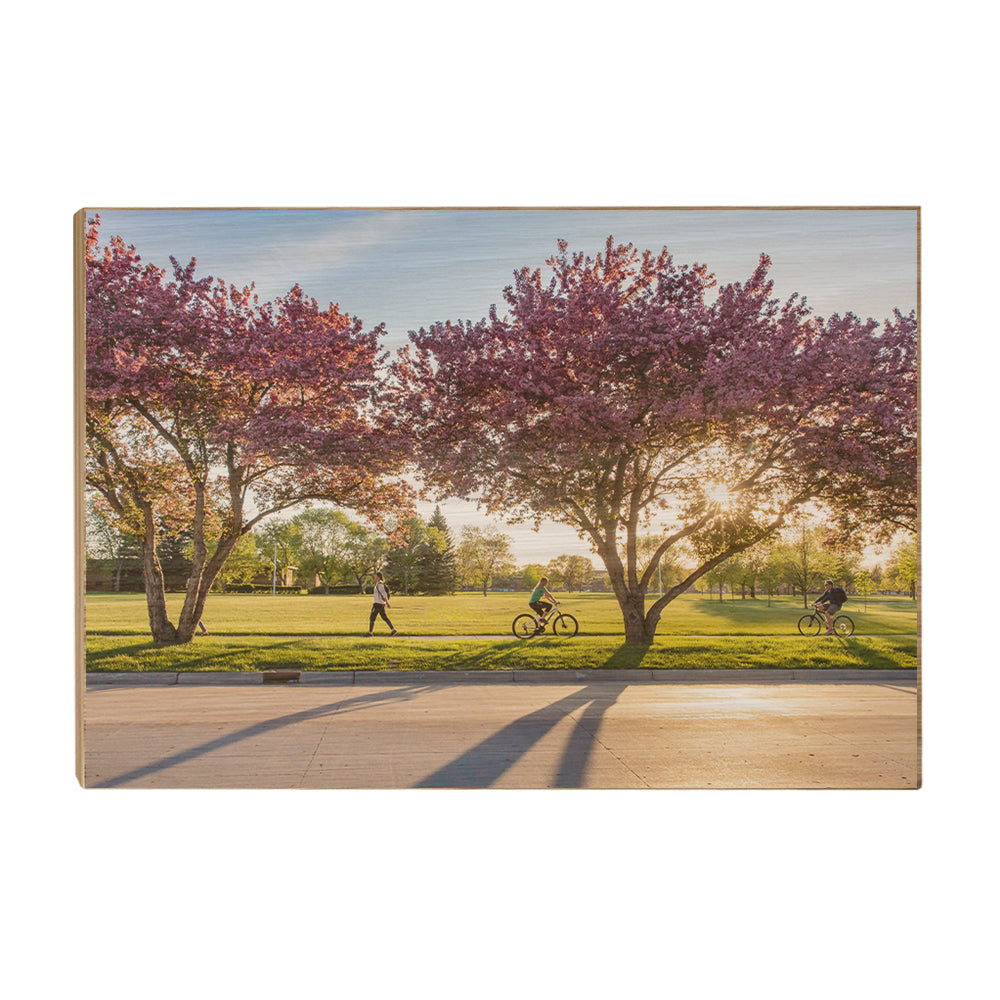 North Dakota Fighting Hawks - Blossoms - College Wall Art #Canvas