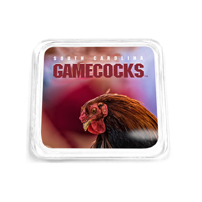 South Carolina Gamecocks - Sir Big Spur Coaster