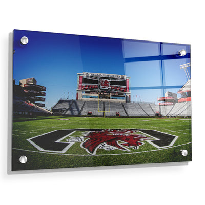 South Carolina Gamecocks - Williams Brice from the 50 - College Wall Art #Acrylic